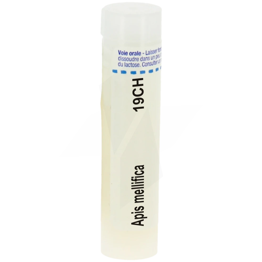 APIS MELLIFICA 19CH TG B