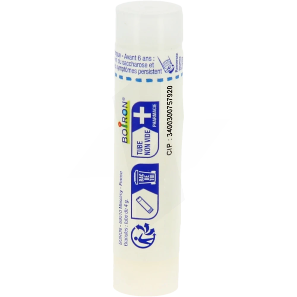 ARNISTICK GEL STICK 10G