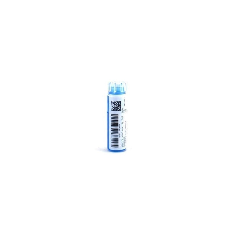 Weleda C205 Allium Cepa D... Granules 4g