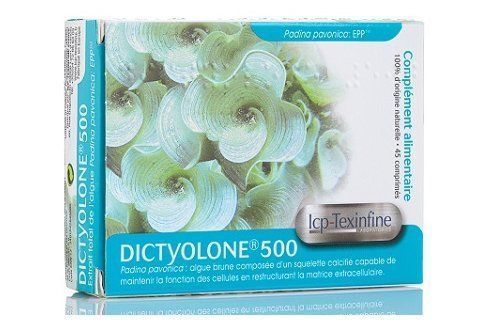 DICTYOLONE 500 GELUL 45