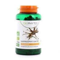 GO PHYTO HARPAGOPHYT BIO GEL 200