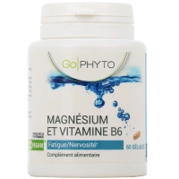 GO PHYTO MAGNESIUM+VIT B6 GELUL60