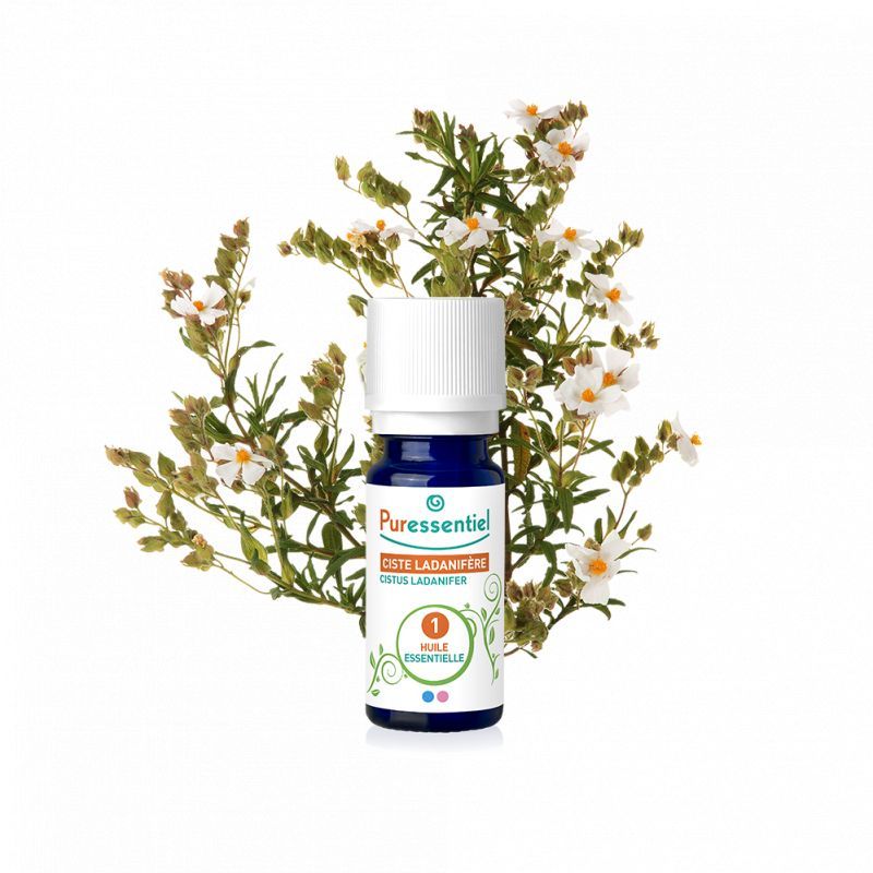 PURESSENTIEL HE BIO CISTE LADA 5ML