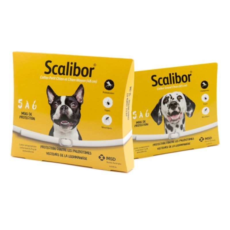 COLLIER INS CHIEN GD SCALIBOR
