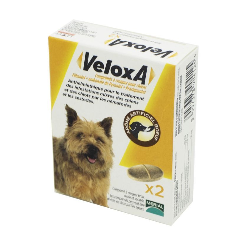 Veloxa Chien Comprime A Croquer X2