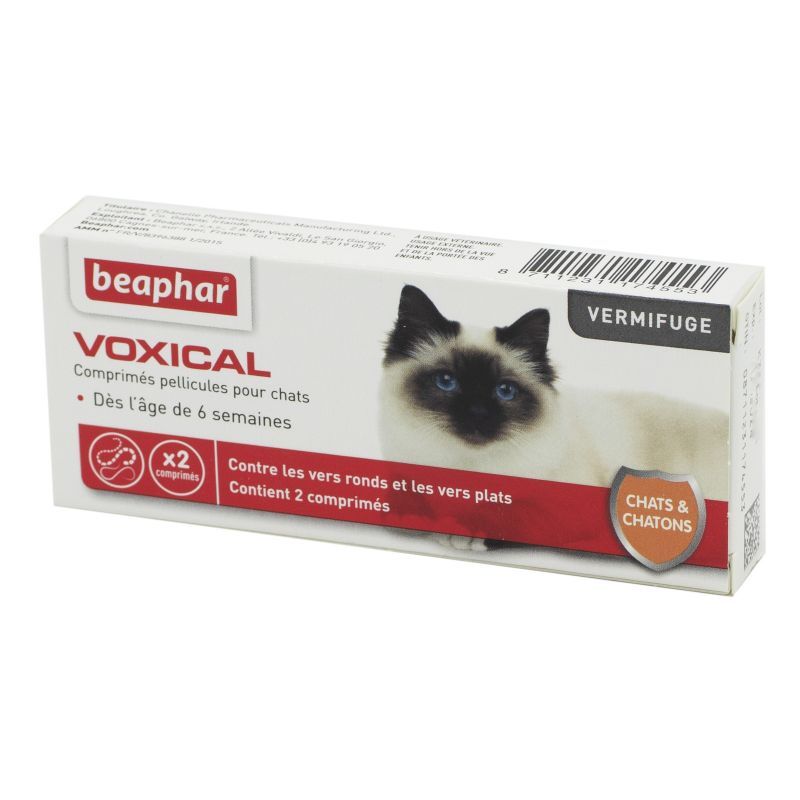 VOXICAL CHAT/CHATON CPR 2