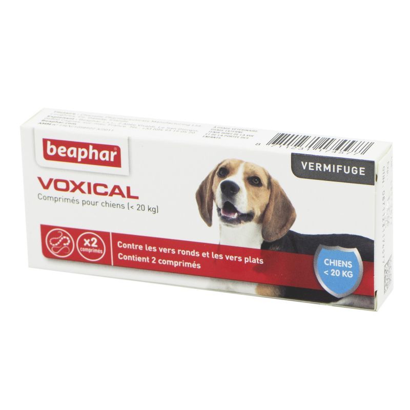 VOXICAL CHIEN CPR 2