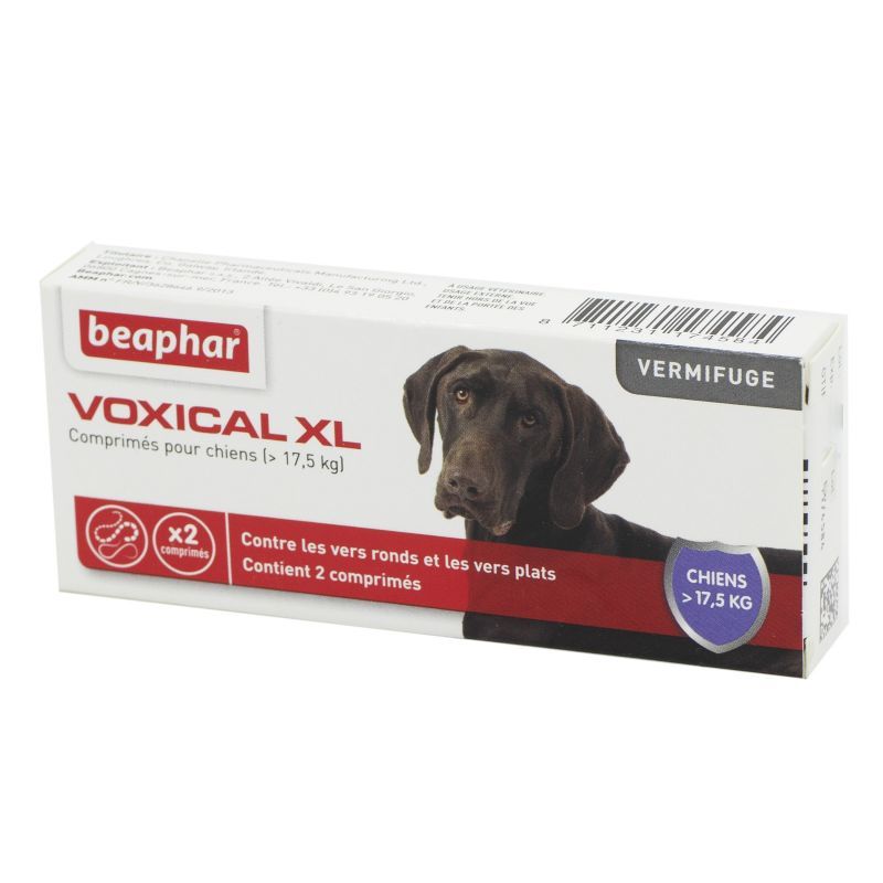VOXICAL CHIEN XL CPR 2