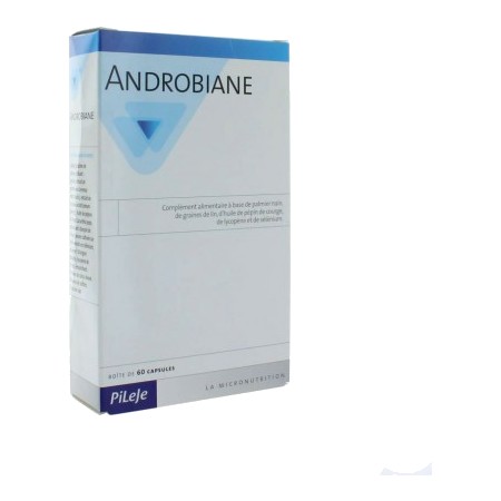ANDROBIANE PROTECT CAPS 60.