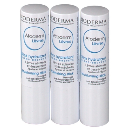 ATODERM STICK LEVRE 4G LOT3