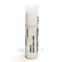 ARNICA MONTANA 10MK DO GL B