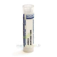 ARNICA MONTANA 10MK TG B