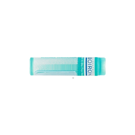 Boiron Influenzinum 12ch Globules 1g