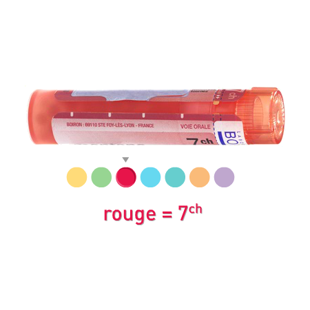 Boiron Justicia Adhat. 7ch Granules 4g
