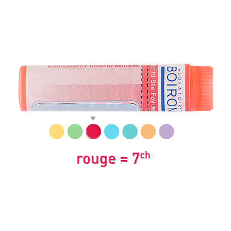 Boiron Pollens/pollanti 7ch Globules 1g