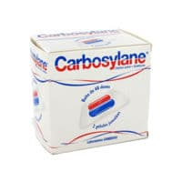 CARBOSYLANE GELULE 24X2