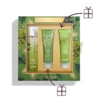 CAUDALIE COFF NOEL FLEUR DE VIGNES