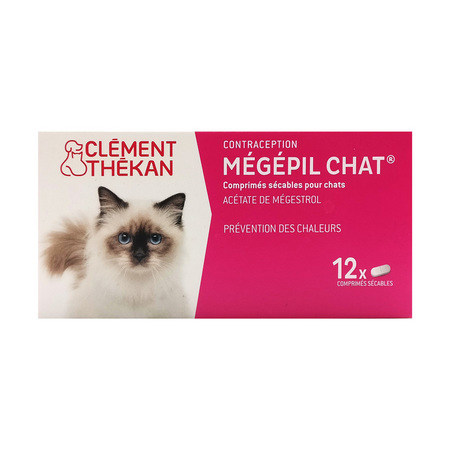 CLEM/THEK MEGEPIL CHAT CPR 12