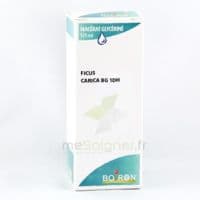 Boiron Ficus Carica Bg 1dh Solution Buvable 125ml