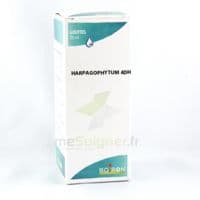 HARPAGOPHYTUM 4DH GT 125 B