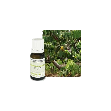 YLANG-YLANG TOT BIO PRANAROM HE5ML