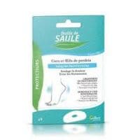 FEUILLE SAULE DISQ PORTECT COR 9