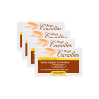 CAVAILLES SAV SURG LAIT/MIEL250GX4