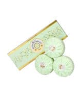 ROGER GALLET THE/V SAV 3*100 G