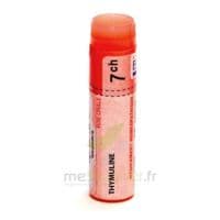 THYMULINE 7CH DO GL B