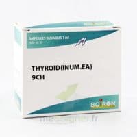 Boiron Thyroid(inum.ea) 9ch Ampoule Buvable 30