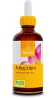 WELEDA EPB HARPAGO ARTICUL BIO60ML