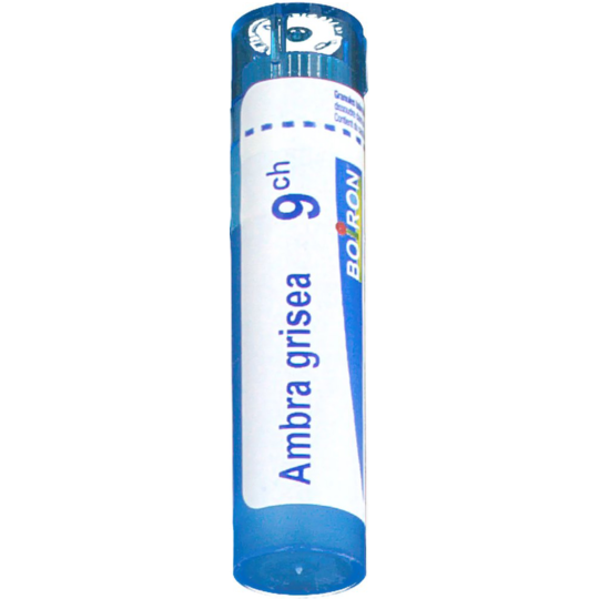 AMBRA GRISEA 9CH TG B