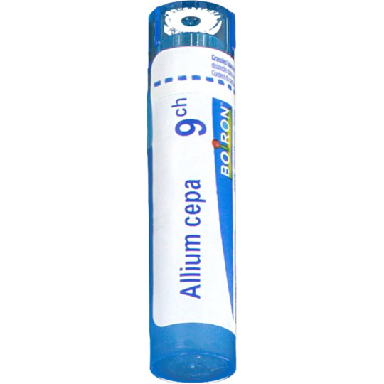 ALLIUM CEPA 9CH TG B