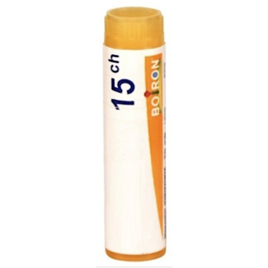 CHOLESTERINUM 15CH DO GL B