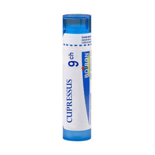 CUPRESSUS SEMP. 9CH TG B