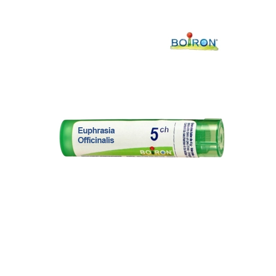 EUPHRASIA OFF. 5CH TG B