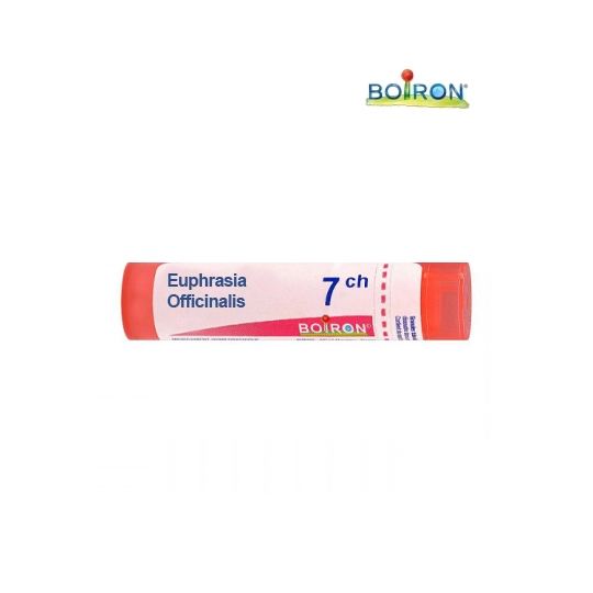 EUPHRASIA OFF. 7CH TG B