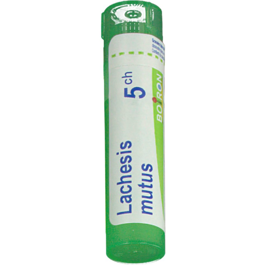 LACHESIS MUTUS 5CH TG B