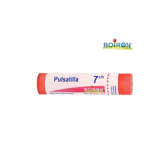 PULSATILLA 7CH TG B