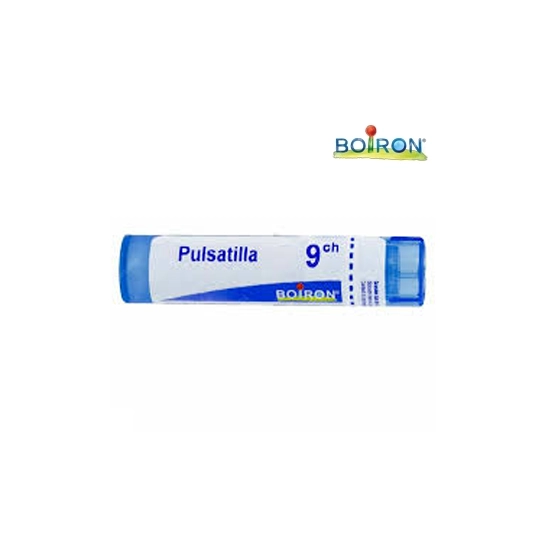 PULSATILLA 9CH DO GL B