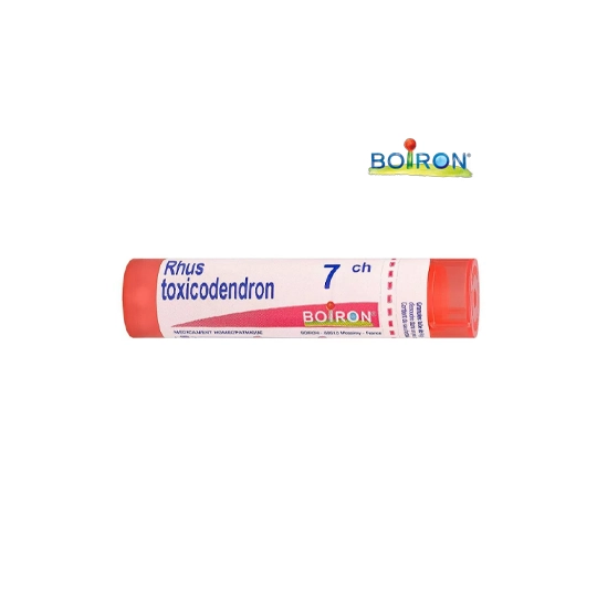 RHUS TOX. 7CH TG B