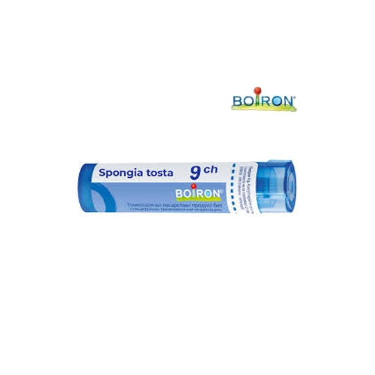 SPONGIA TOSTA 9CH TG B