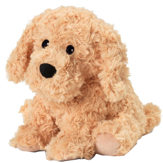 Warmies Bouillotte Cozy Peluche Chien Boucle