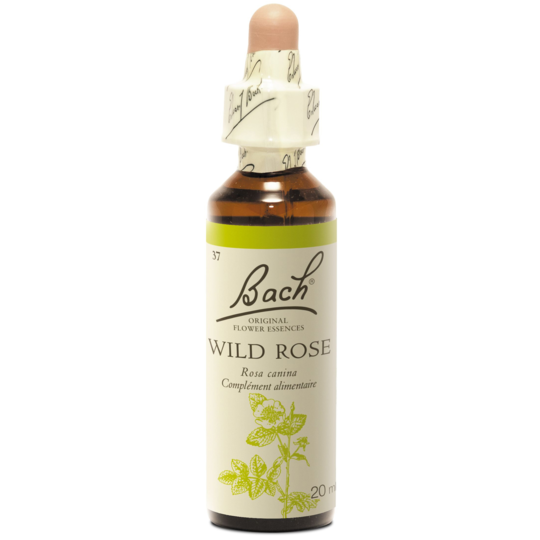 FLEURS DE BACH ORIGINAL WILD ROSE/20ML
