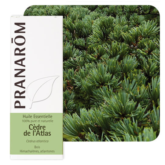 PRANAROM HE CEDRE ATLAS 10ML