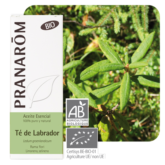 PRANAROM HE BIO LEDON GROENLAND5ML