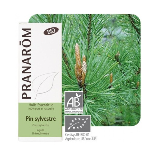 PRANAROM HE BIO PIN SYLVESTRE 10ML
