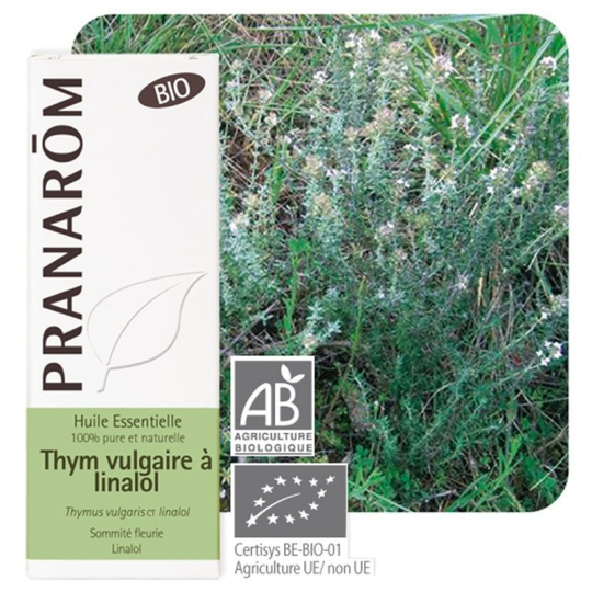 PRANAROM HE BIO THYM VULG LINA 5ML