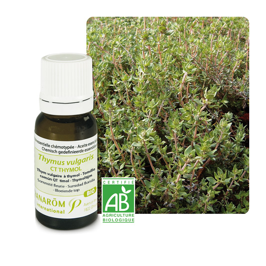PRANAROM HE BIO THYM VULG THYM 5ML