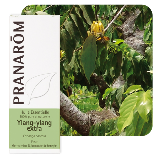 PRANAROM HE YLANG-YLANG EXTR 5ML
